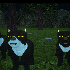 The wolf pack